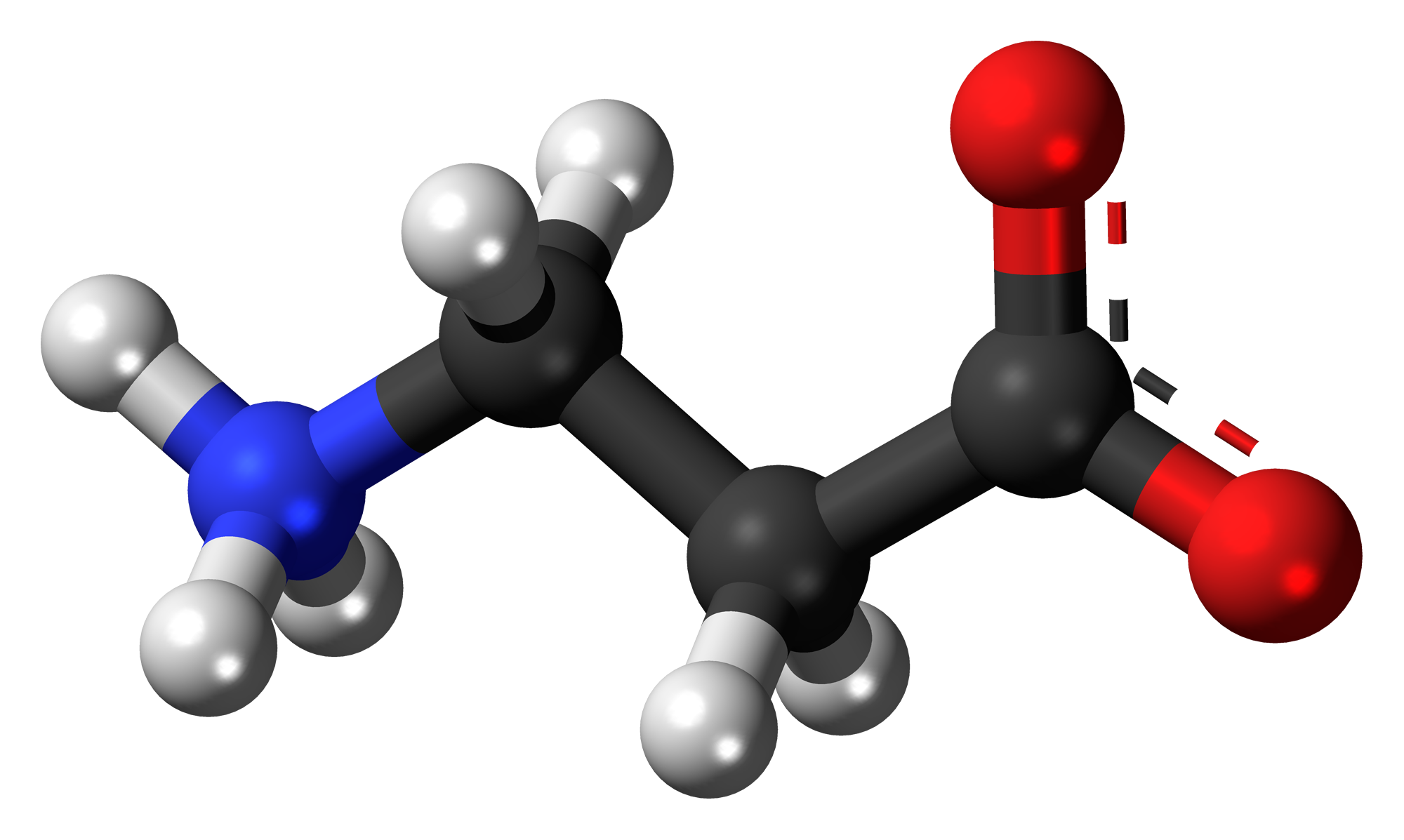 De ultieme gids voor Beta Alanine